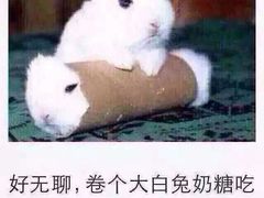 -丹东丛炟海鲜烧烤(江艺路店)