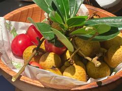 -季季山·云南野生菌火锅(上海首店)