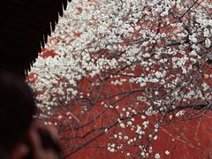 -钱王祠