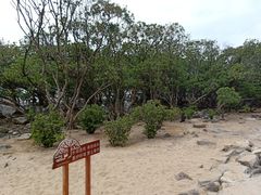 -宝安西湾红树林湿地公园