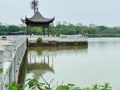 -八大山人梅湖景区