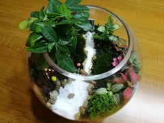 -A+匠心DIY手工坊·首饰·微景观