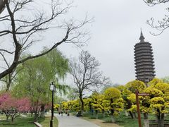 -西海子公园