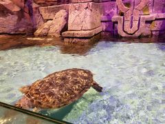 -哈尔滨波塞冬海底世界