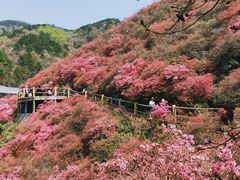 -木兰云雾山