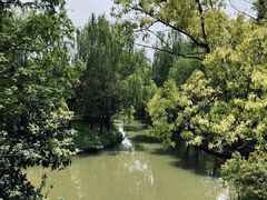 -同里国家湿地公园