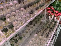 -KKV(深圳宏发大仟里店)