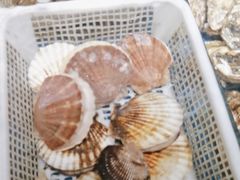 -连锦记海鲜烧烤大排档·锦州特色(西安路交大店)