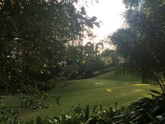 香格里拉大酒店-新加坡香格里拉