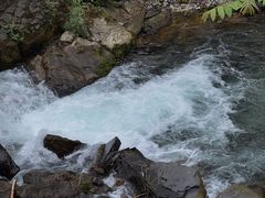 -瓦屋山景区
