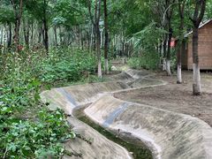 -草根堂农场