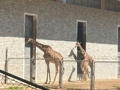 -石家庄市动物园