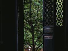 -青羊宫