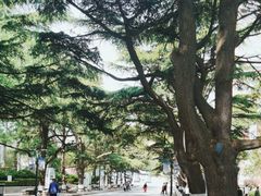 -贮水山儿童公园