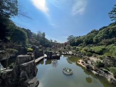-深圳仙湖植物园