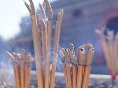 -龙口南山旅游景区