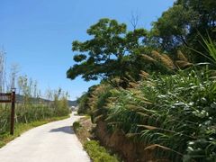 -东海半边山旅游度假区