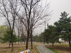 -太阳宫公园