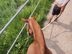 -野三坡清泉山风景区