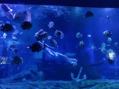 -石林冰雪海洋世界