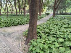 -玲珑塔公园