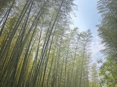 -黄公望隐居地