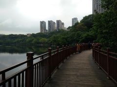 -重庆彩云湖湿地公园