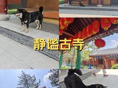 -天津市峰山药王古寺