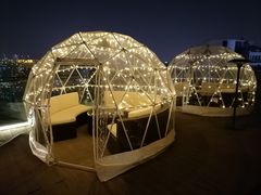 -顽啤熊·酒客酒馆(苏城夜景必选店)