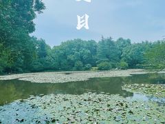 -杭州植物园
