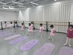 -中央芭蕾舞团·中芭艺蕾(酒仙桥明星校区)