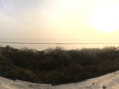 -合肥滨湖国家森林公园