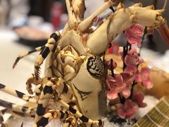 -德米火锅(深圳湾1号旗舰店)