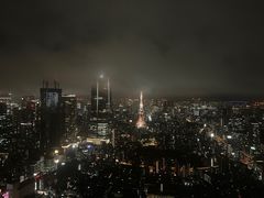 -六本木新城展望台(东京城市景观)