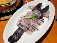 笋壳鱼-綱元·海鲜豆捞(明州里店)