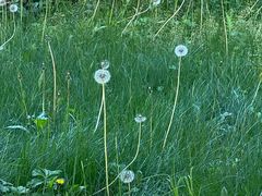 -六鼎山文化旅游区