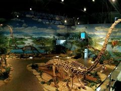 -自贡恐龙博物馆