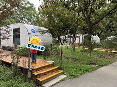 -上海滨江森林公园
