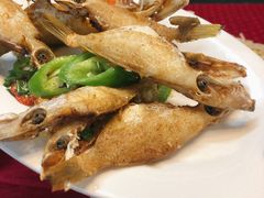 椒盐扒皮鱼-蛇口康乐快餐鱼仔档(翠苑小区店)
