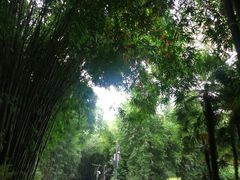 -望江楼公园