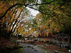 -醍醐寺