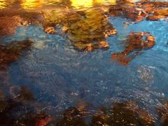 -奥斯汀KTV(金湖店)