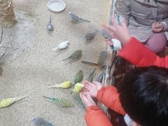 -上海昆虫博物馆