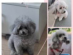 -熊小胖宠物生活馆(天华园店)