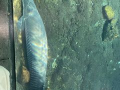 -珠海长隆海洋王国