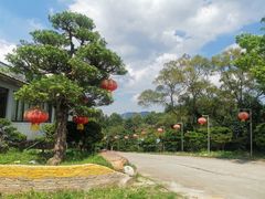 -绿华园休闲山庄