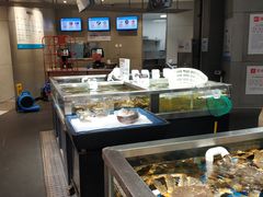 水产区-盒马鲜生(189购物中心店)