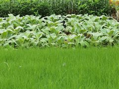 -中国人民解放军空军第九八六医院(北区)