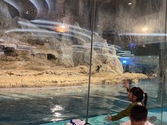 -帝企鹅自助餐厅•儿童岛•真企鹅(长隆企鹅酒店)