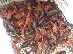 -王红军龙虾(新民路店)